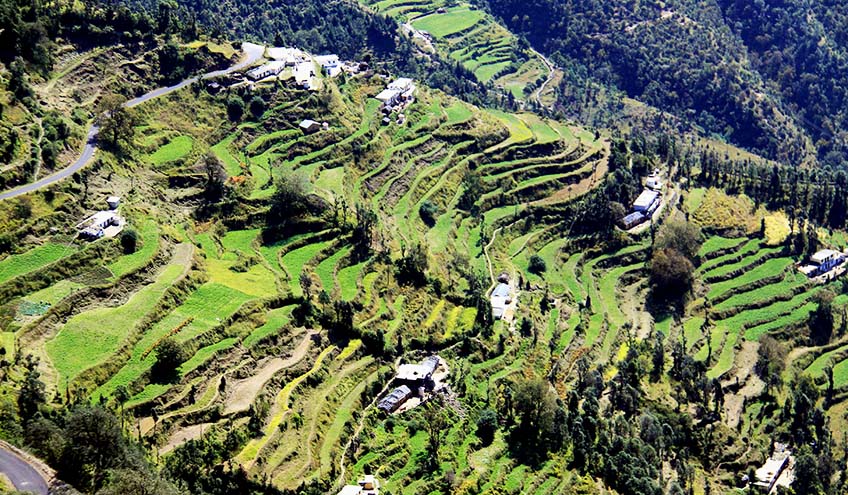 Rice-terraces-mussorie