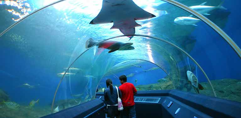 Underwater World