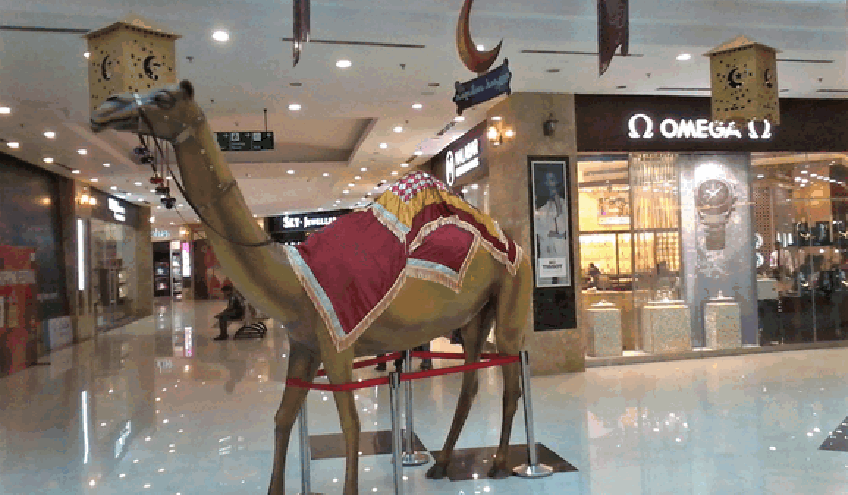 attraction2