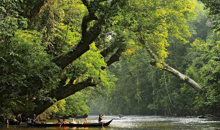 Taman Negara