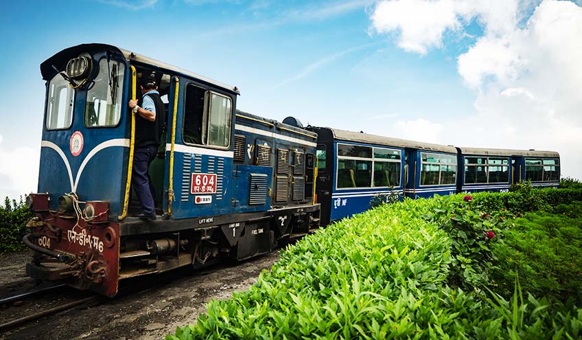 darjeeling