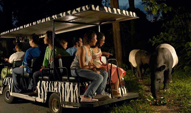 Singapore Night Safari