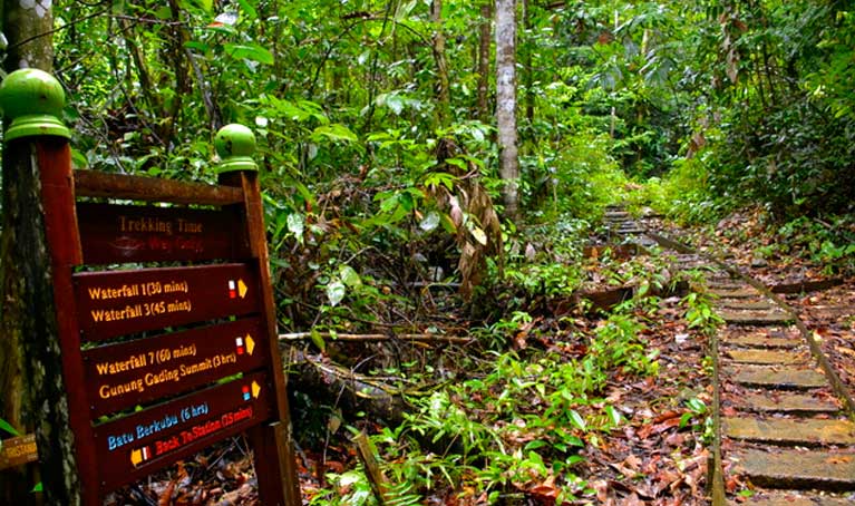 Gunung Gading National Park
