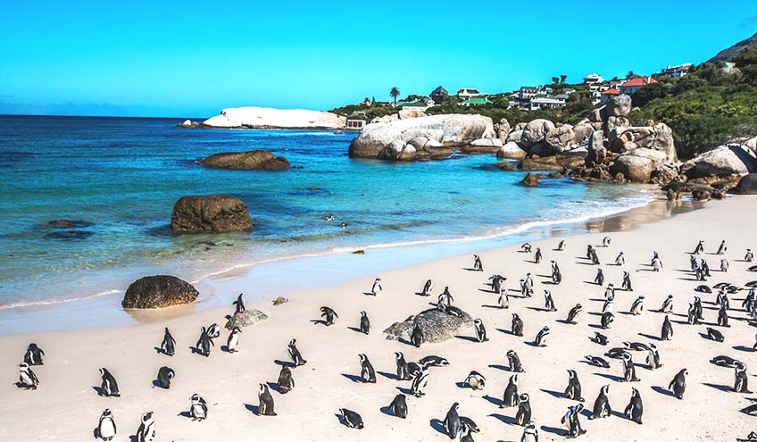 boulders-beach