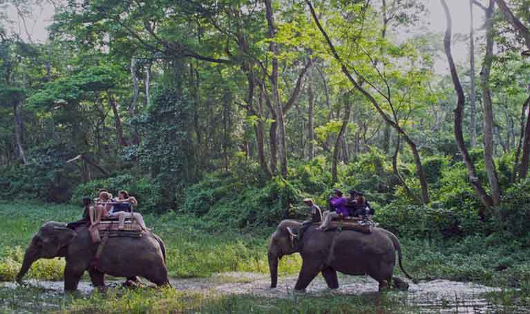 Chitwan National Park