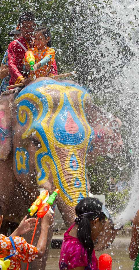 Festivals