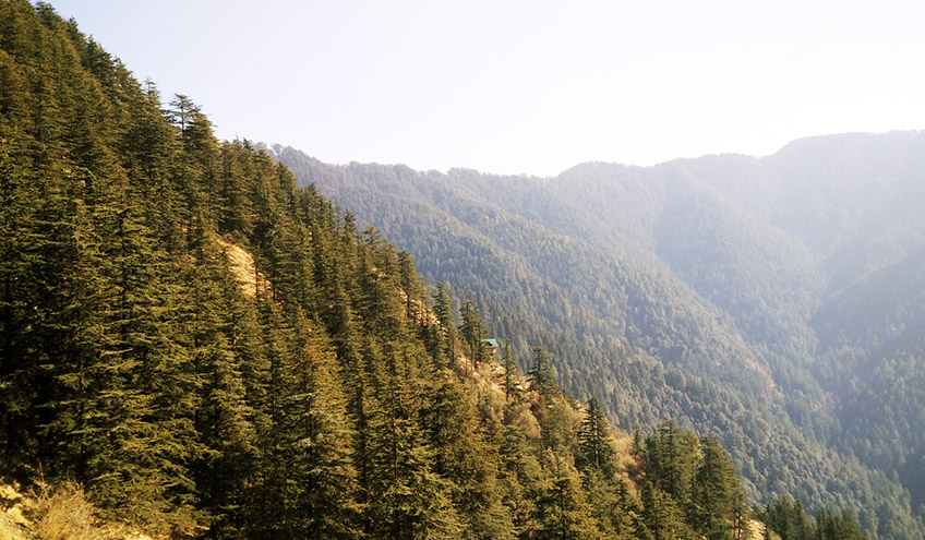 green-valley-shimla