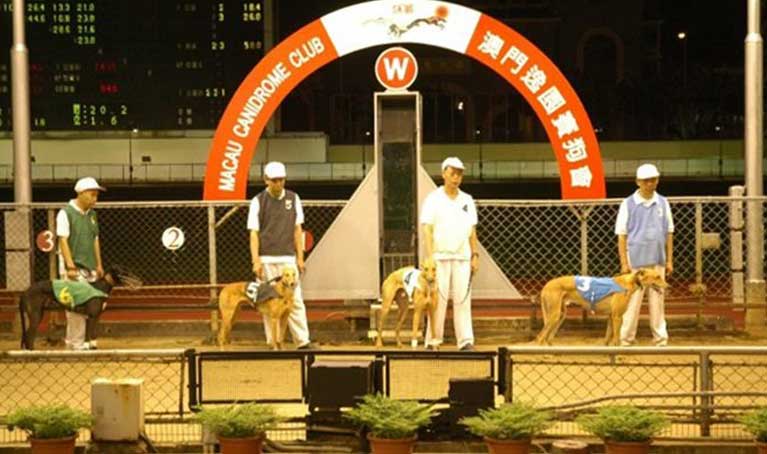 Macau Canidrome Club
