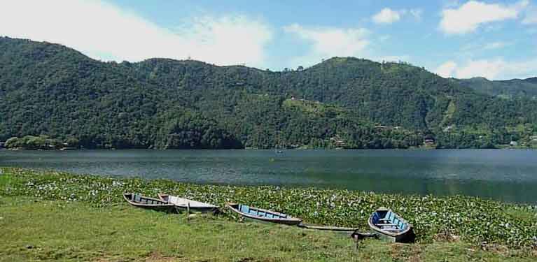 Phewa Tal