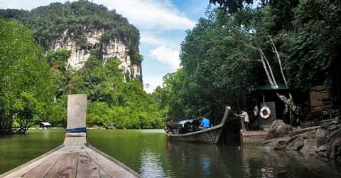 Ao Luk Mangrove