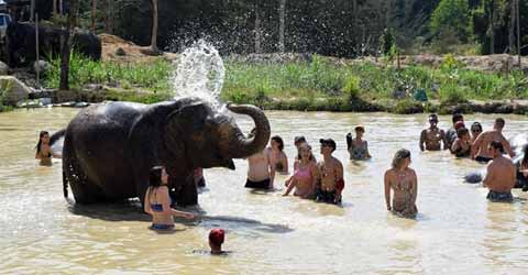 Phuket Elephant Sanctuary