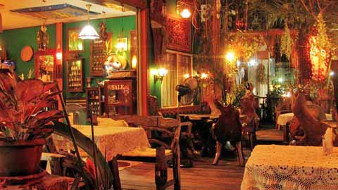 Gecko Cabane