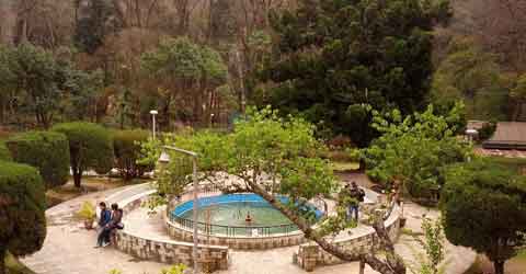Royal Botanical Garden