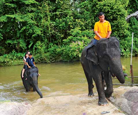 Malaysia Family packages