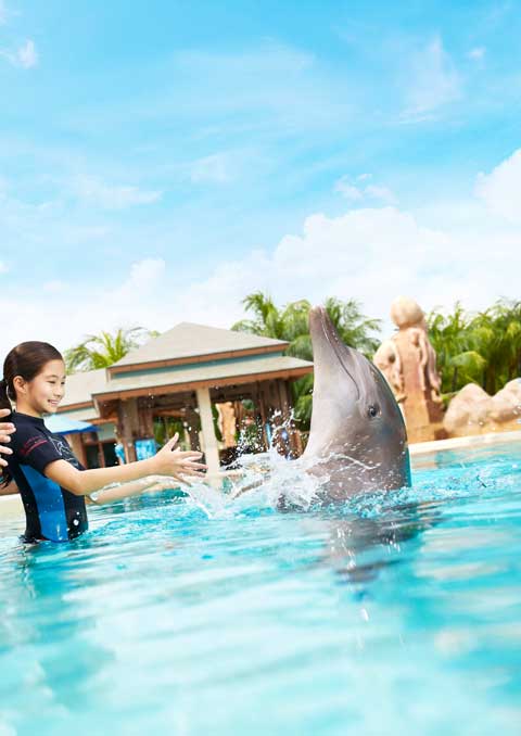 Singapore Tourism Packages