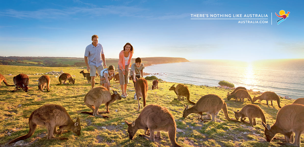 kangaroo islands