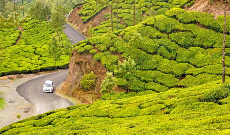 Kerala Kerala