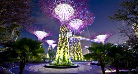 Singapore Singapore