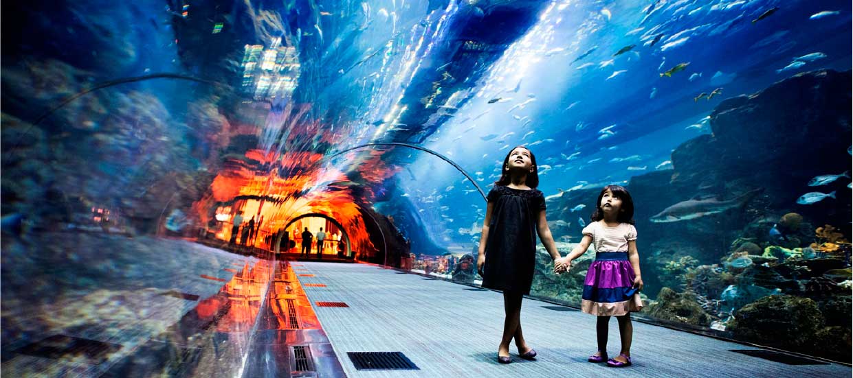Dubai Aquaruim Dubai Aquaruim