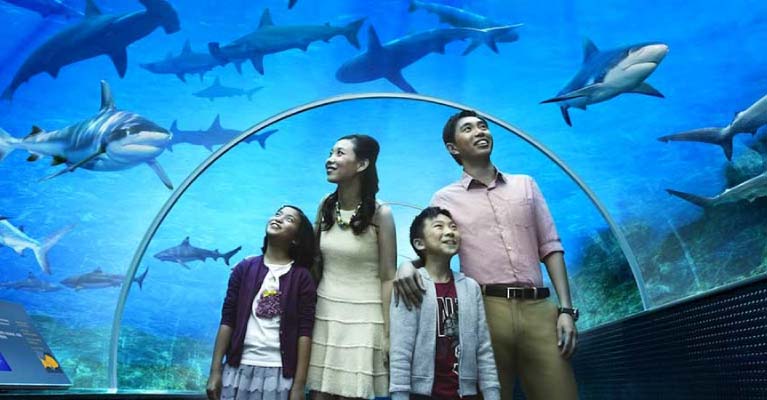 SEA Aquarium SEA Aquarium