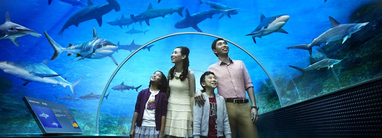 Singapore SEA Aquarium Singapore SEA Aquarium