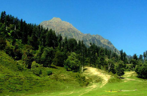 Manali